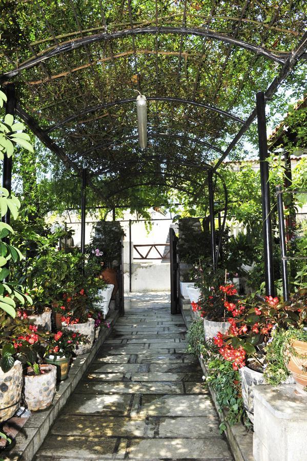 Chrissomalli Sofia Studios Skiathos Town Ngoại thất bức ảnh